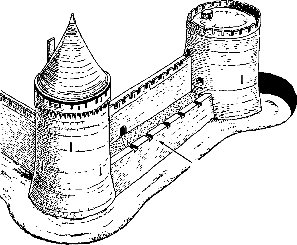 Schematic view of blind spot