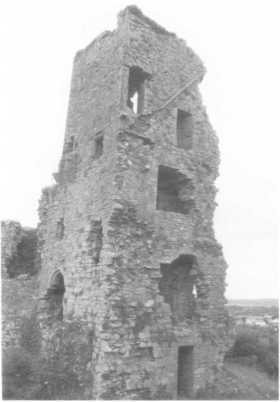 IRISH ENCLOSURE CASTLES