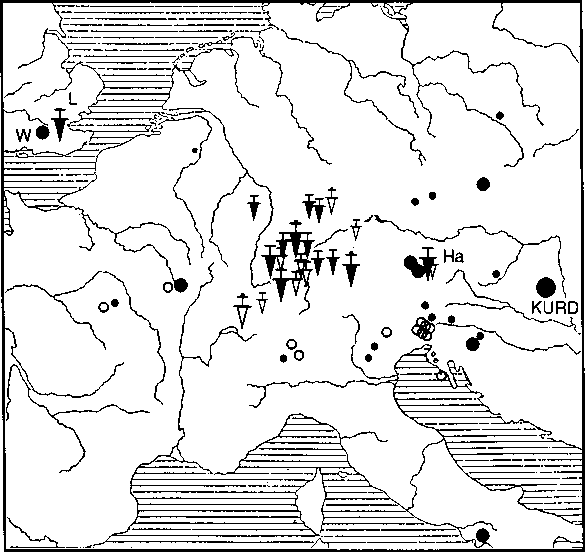 SOCIAL STANDING: THE HALLSTATT CEMETERY EVIDENCE