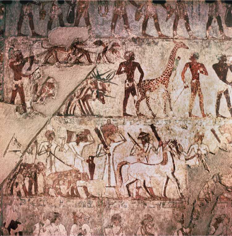 Elite Tombs at Thebes and Saqqara