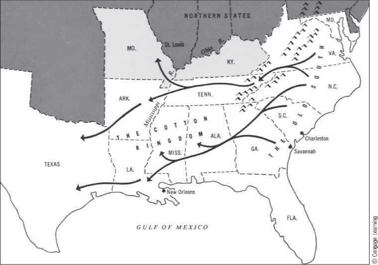 THE SOUTHWESTERN MIGRATION AND COTTON