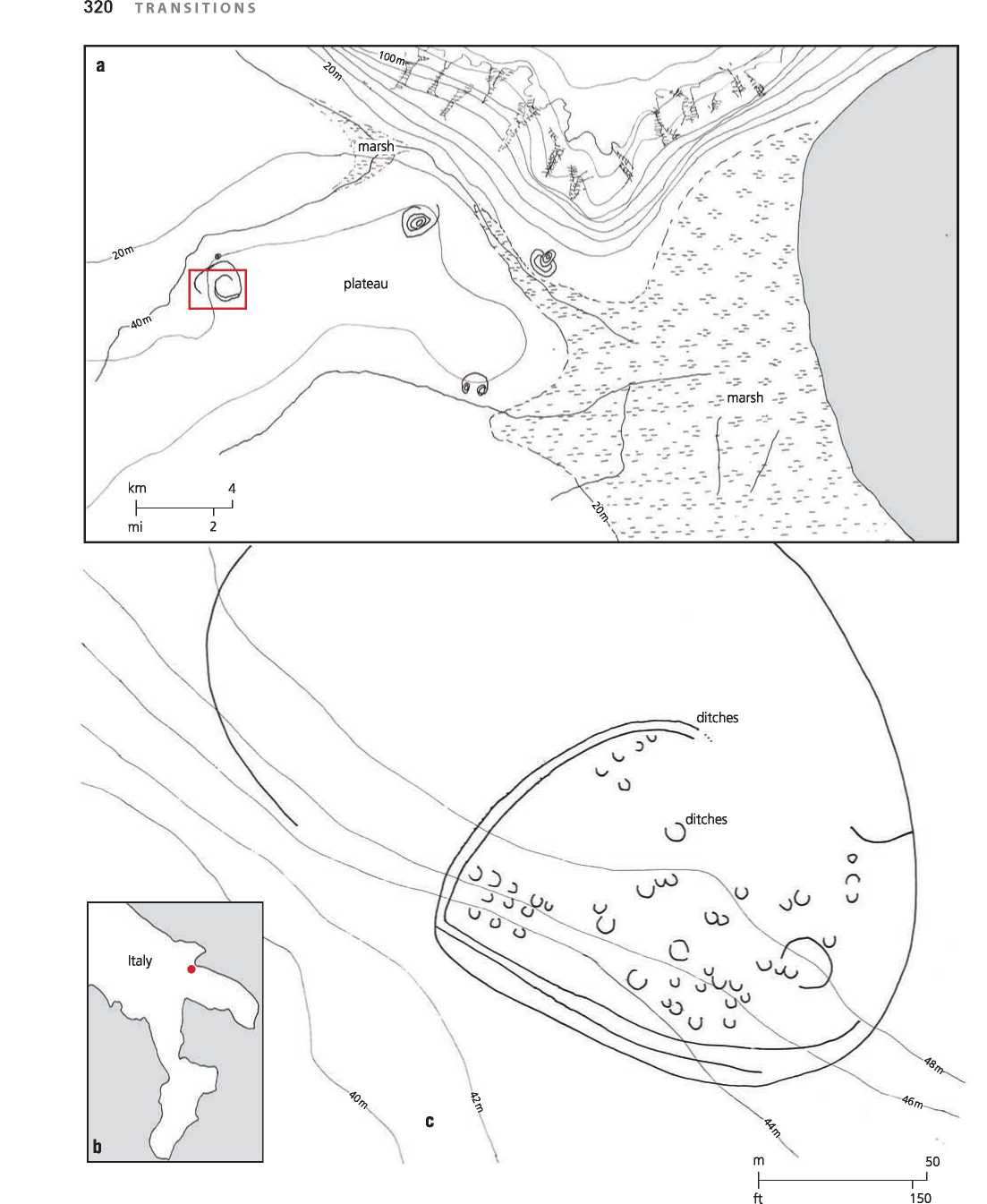 THE LONGHOUSE WORLD